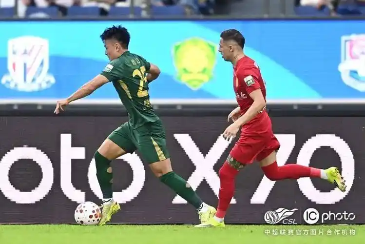 雨燕免费直播在线观看